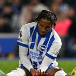 Taruhan Premier League: Brighton & Hove Albion vs Newcastle United