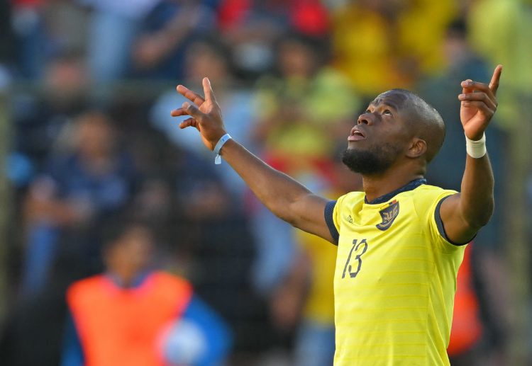 世界杯预选赛 已经提前晋级的厄瓜多尔将可能派出轮换阵容应战。