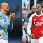 엘링 홀란과 가브리엘 마걀량이스는 이번 시즌 프리미어리그 최고의 활약을 펼친 선수들이다.